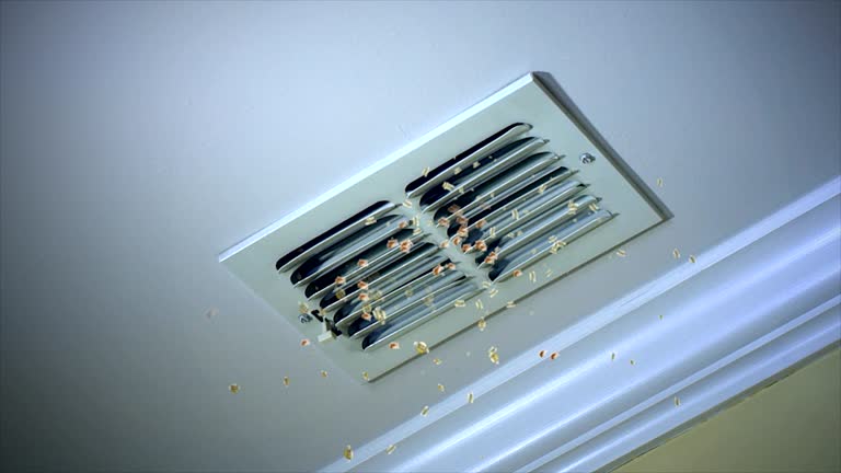 Best Affordable HVAC Duct Cleaning  in Mount Holly, NC